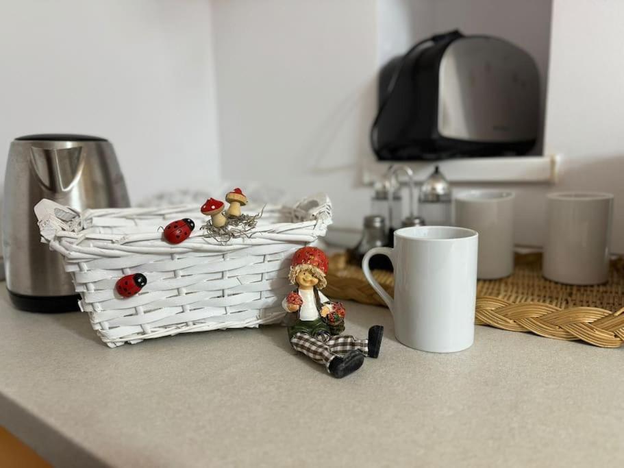 Iazi Apartament บราชอฟ ภายนอก รูปภาพ
