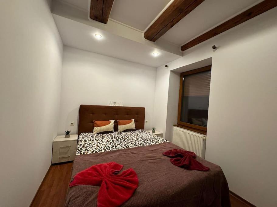 Iazi Apartament บราชอฟ ภายนอก รูปภาพ